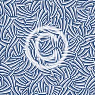 custom pool designer